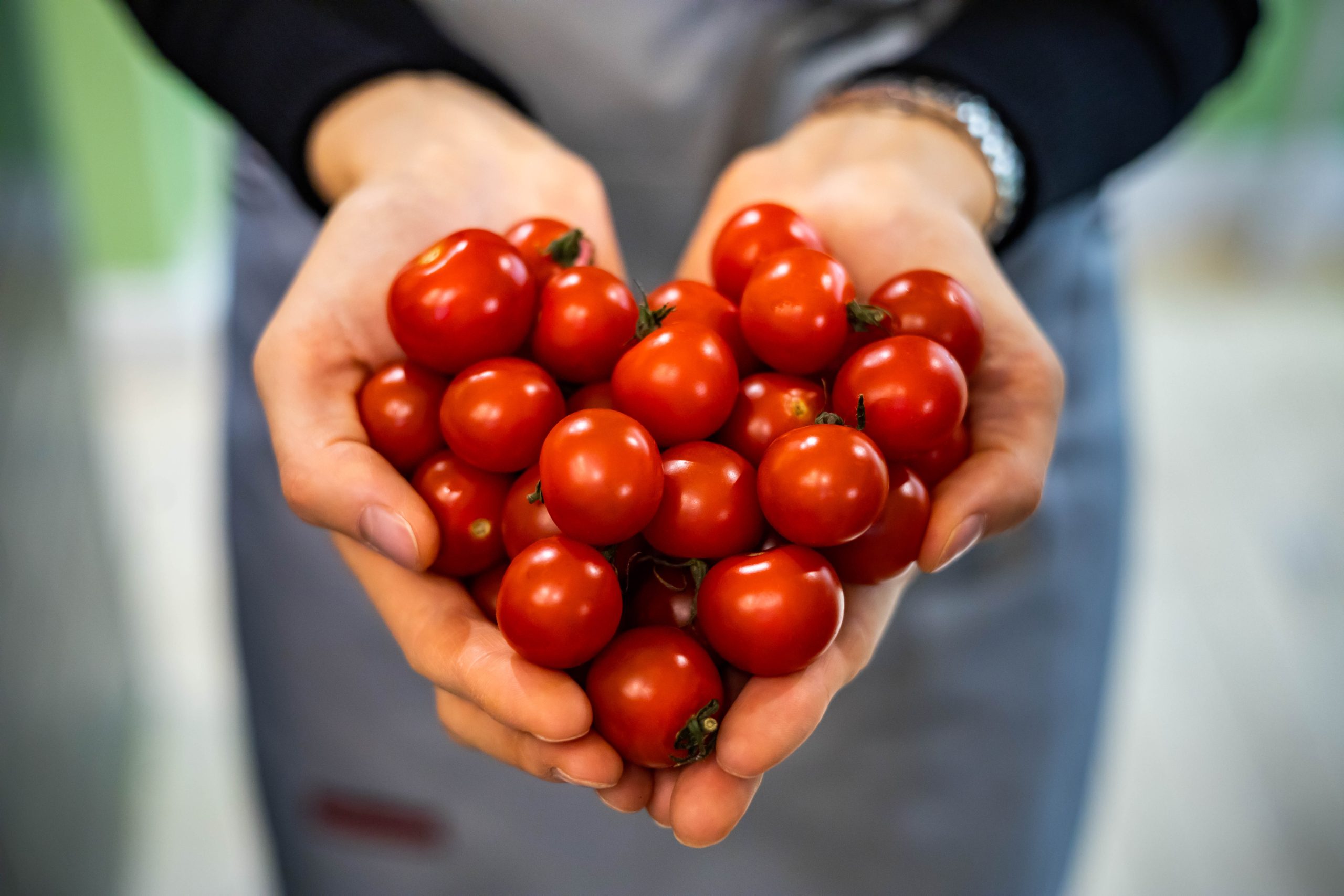 Les tomates