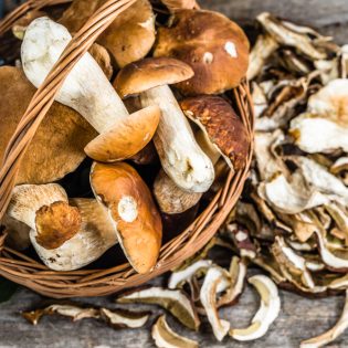 cèpes - Porcini Mushrooms