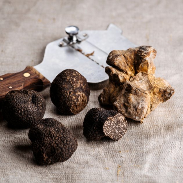 Winter Truffle - Truffe d'Hiver