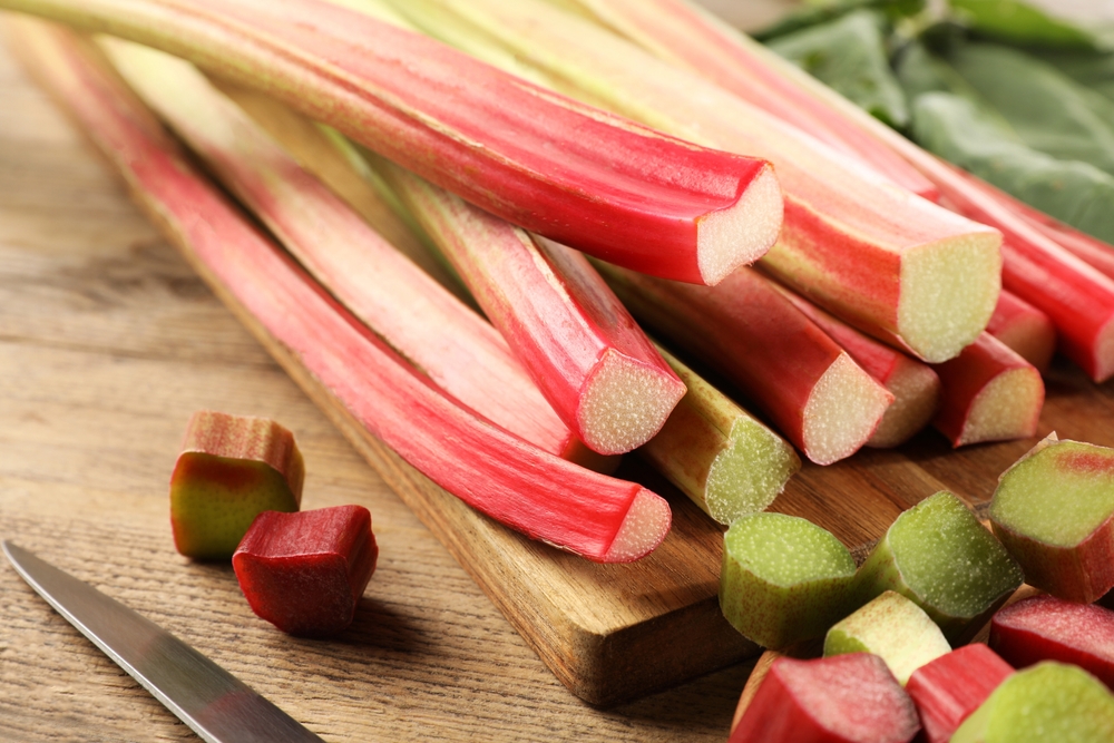 Rhubarbe - Rhubarb
