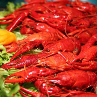 langoustine